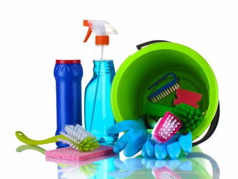 Professional steam carpet cleaning setup in a Forestdale home
