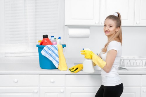 Commercial carpet stain removal and extraction in Forestdale