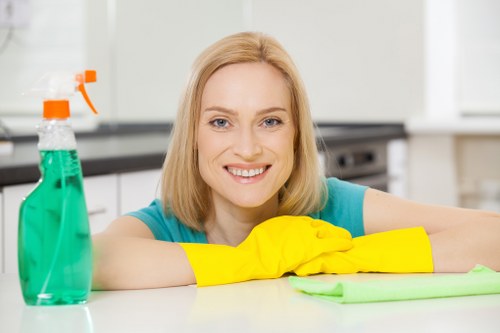 Technician performing deep mattress cleaning in Forestdale