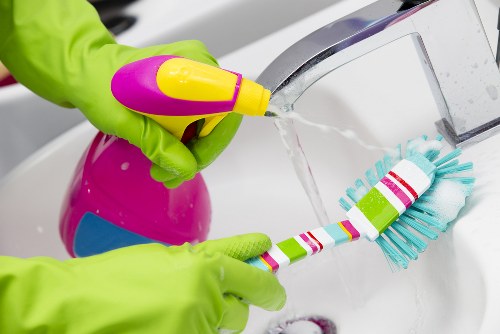 Professional pet stain odour removal in a Forestdale living room