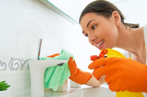 Upholstery treatment for pet stains and smells in Forestdale