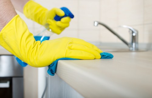 Cleaner preparing upholstery and carpet treatment tools