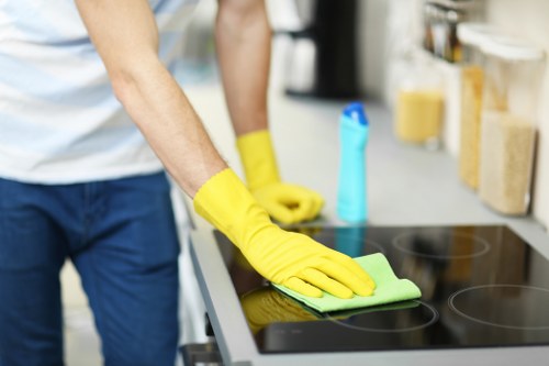Ink and makeup stain removal in Forestdale