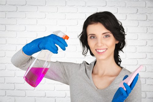 Deep sofa cleaning process for removing stains and dirt
